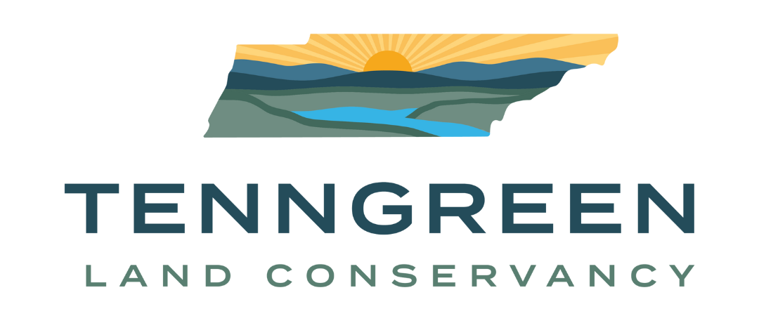 Untitled design (29).png