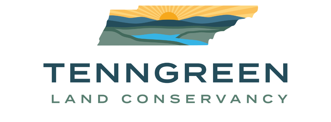 Untitled design (30).png